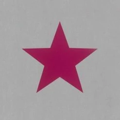Kids Girls Large Star Design Wallpaper Children's Bedroom Teens Grey Pink Rasch