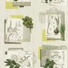 Botanical Herb Motif Wallpaper Rasch Green Embossed Vinyl Kitchen Textured -RASCH Store 30951589 1