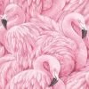 Pink Flamingo Wallpaper Animal Print Birds Feathers Mica Painted Effect Rasch