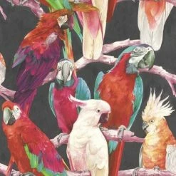 Parrot Wallpaper Bird Animal Print Trees Feathers 2 Colours Available Rasch