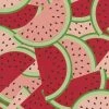 Watermelon Wallpaper Rasch Blown Vinyl Paste The Wall Pink Red Green