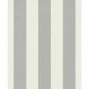 Rasch Wallpaper 542332 Shimmering Stripe Cream Silver -RASCH Store 55415588 1