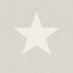 Rasch Star Wallpaper (32.9ft X 1.7ft) (White/Grey)